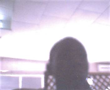 moussa